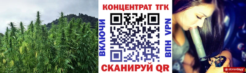 Дистиллят ТГК Wax Кизел