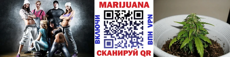 Бошки Шишки гибрид Кизел